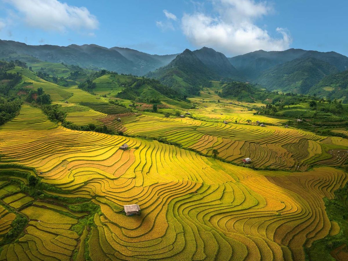 Bản làng yên bình giữa ruộng bậc thang trải dài. (Nguồn: Sưu tầm)