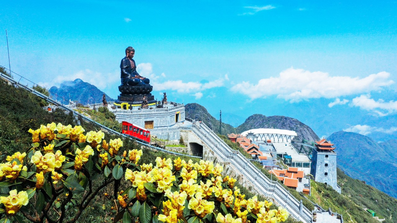 Hoa đỗ quyên nở rộ tại Fansipan vào những ngày hè rực rỡ. (Nguồn: Sưu tầm)