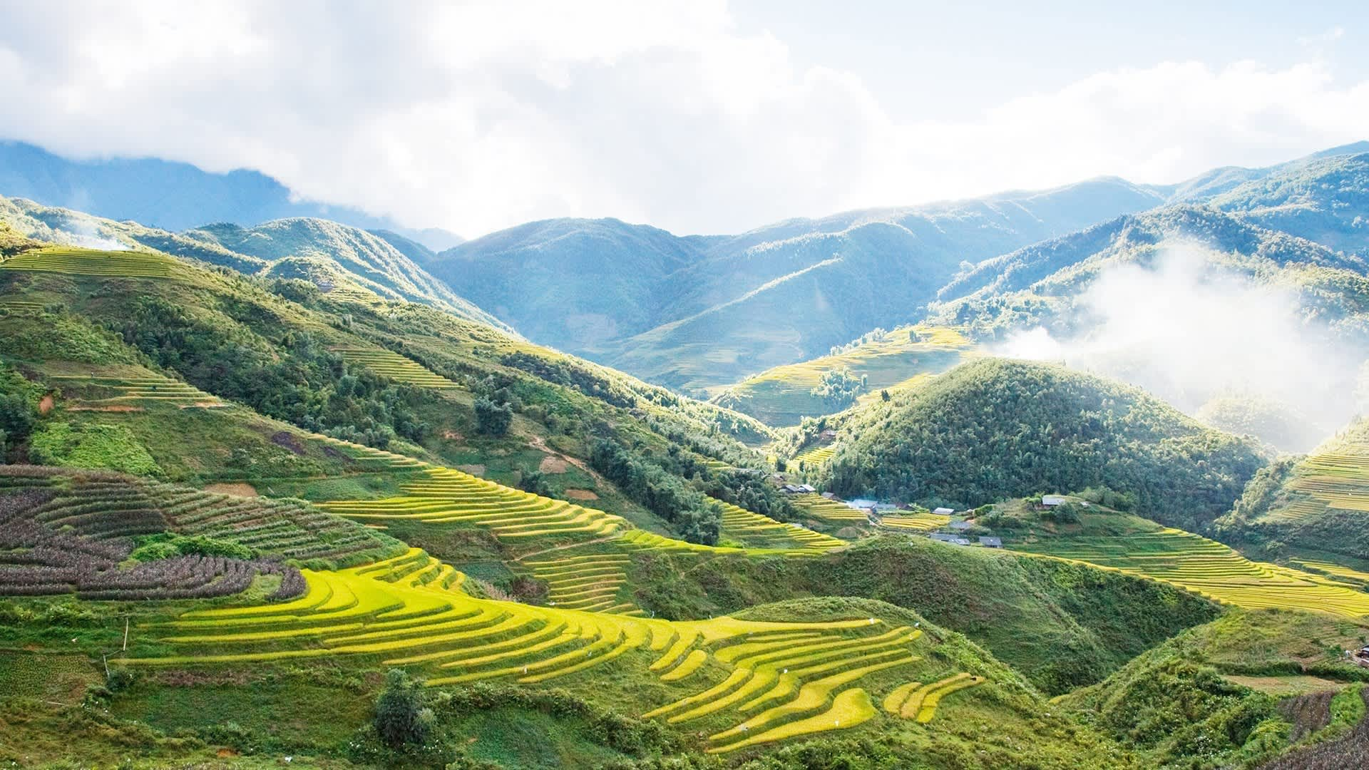 Sa Pa mùa hè thu hút du khách bởi khí hậu mát mẻ và khung cảnh thiên nhiên hùng vĩ.