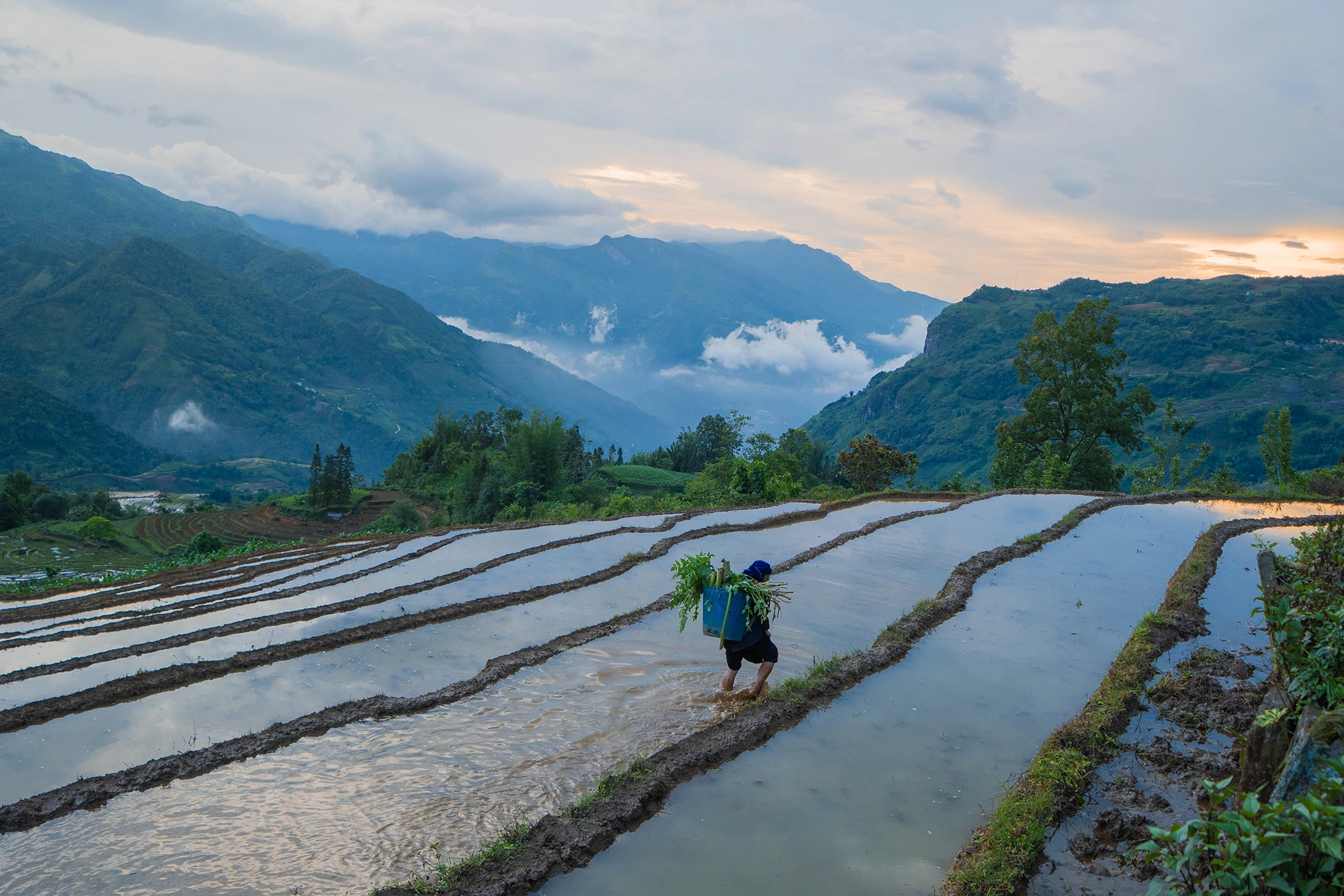 Y Tý mùa nước đổ khoác lên vẻ đẹp ấn tượng với những thửa ruộng bậc thang phản chiếu bầu trời.