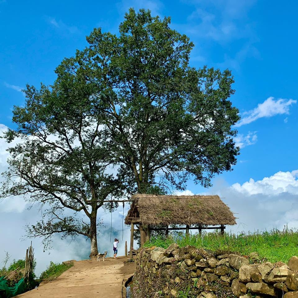 Công viên Choản Thèn thu hút du khách với view săn mây độc đáo.