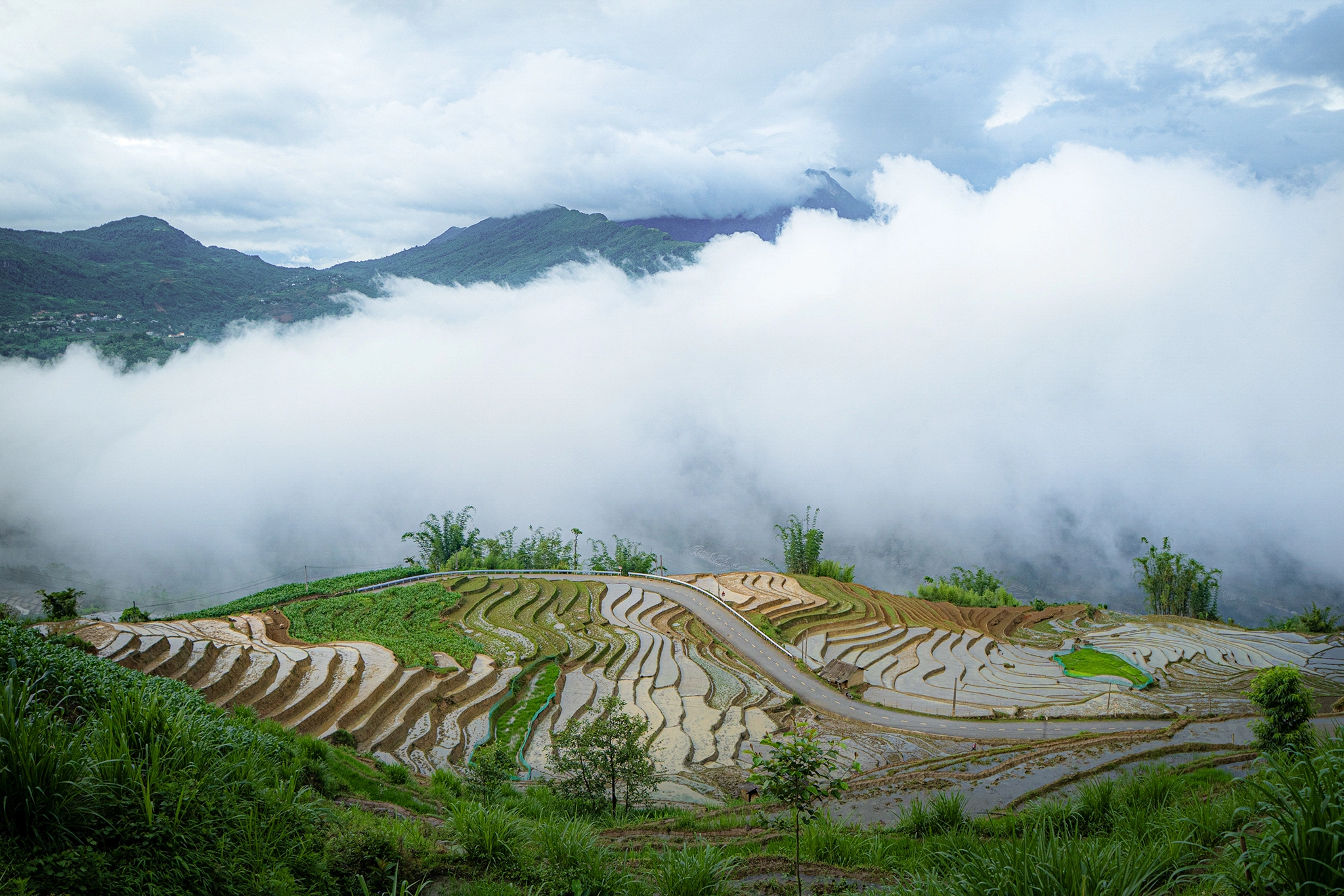 Ruộng bậc thang Y Tý lấp lánh dưới nắng đầu hè tạo nên khung cảnh đặc trưng của mùa nước đổ.
