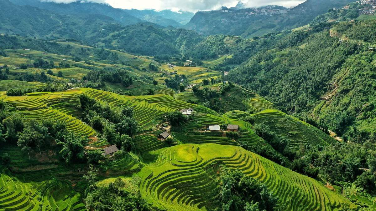 Khung cảnh nguyên sơ của bản Ý Linh Hồ giữa núi rừng và ruộng bậc thang xanh mướt.