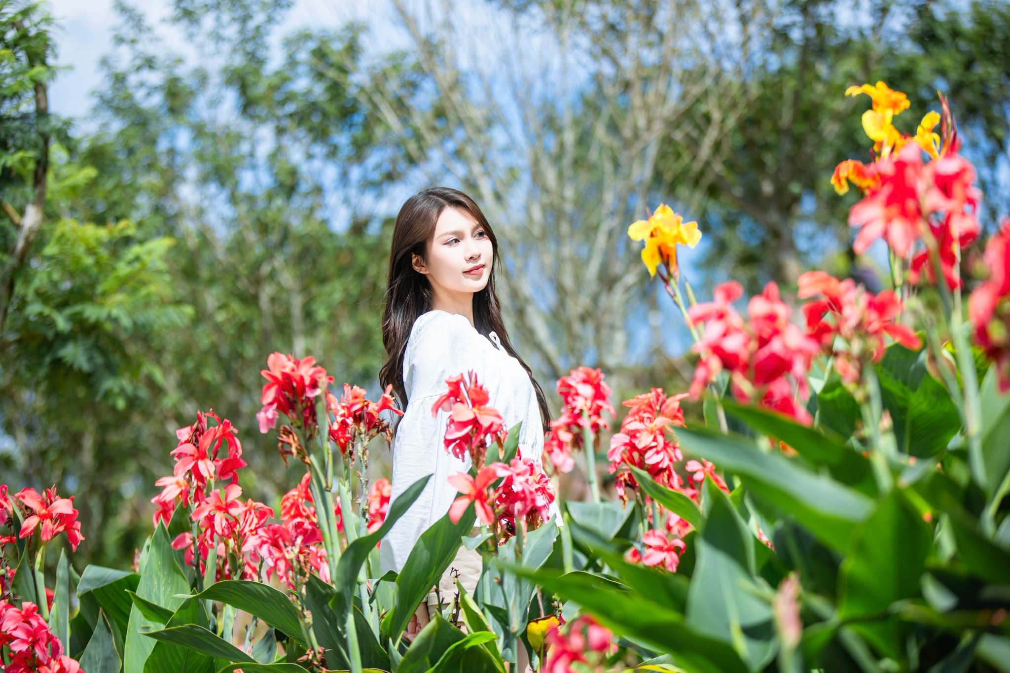 Fansipan mùa hè thu hút du khách với khí hậu mát mẻ và khung cảnh thiên nhiên xanh mướt giữa núi rừng Tây Bắc.