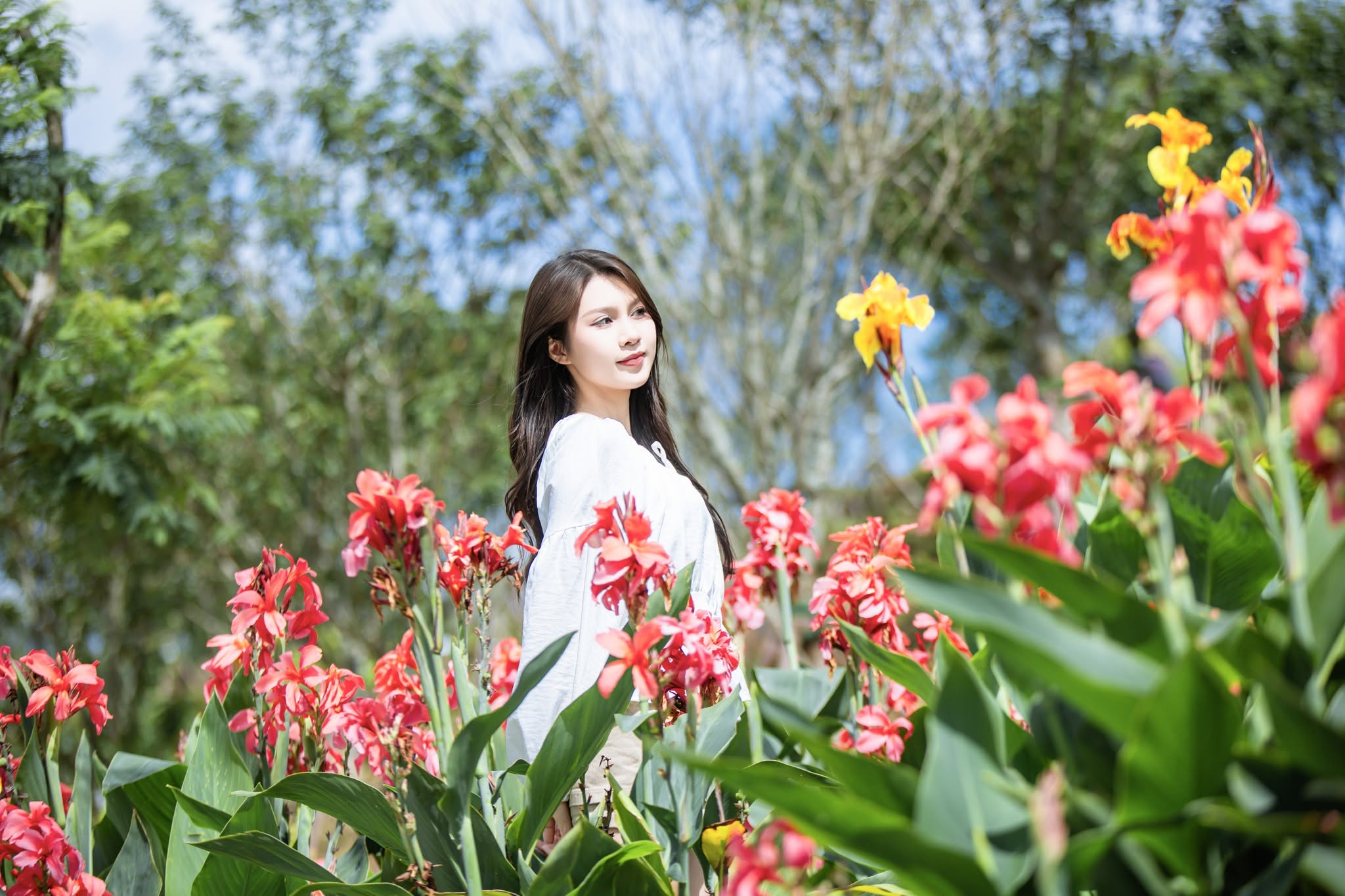 Hoa rong riềng đỏ tô điểm cho cảnh sắc Fansipan tháng 7 thêm rực rỡ và tràn đầy sức sống.
