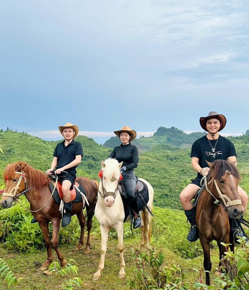 Bắc Hà Horse Farm là điểm đến lý tưởng để trải nghiệm cưỡi ngựa giữa những đồi cỏ và vườn hoa vùng cao.