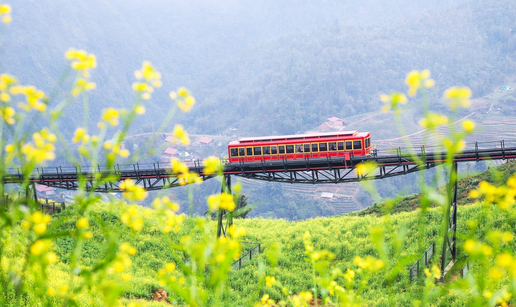 旅客可透過芒花登山列車的大面積觀景車窗,從高處飽覽芒花谷全景。
