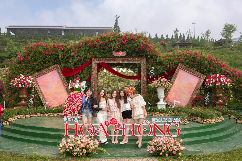 Du khách nên tham khảo kỹ từng loại tour để lựa chọn chuyến đi phù hợp nhất