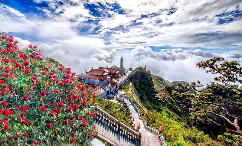 The vibrant colors of spring flowers and the sea of clouds create a colorful natural landscape.