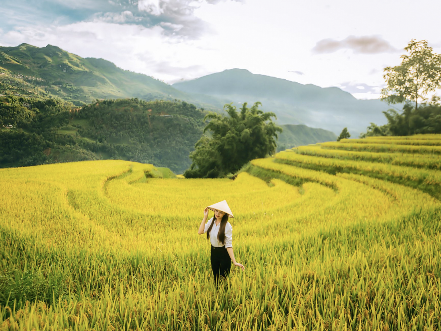 Ban ngày, trời thường có nắng nhẹ, không khí mát mẻ nên rất thuận lợi cho các hoạt động tham quan. (Nguồn: Sưu tầm)