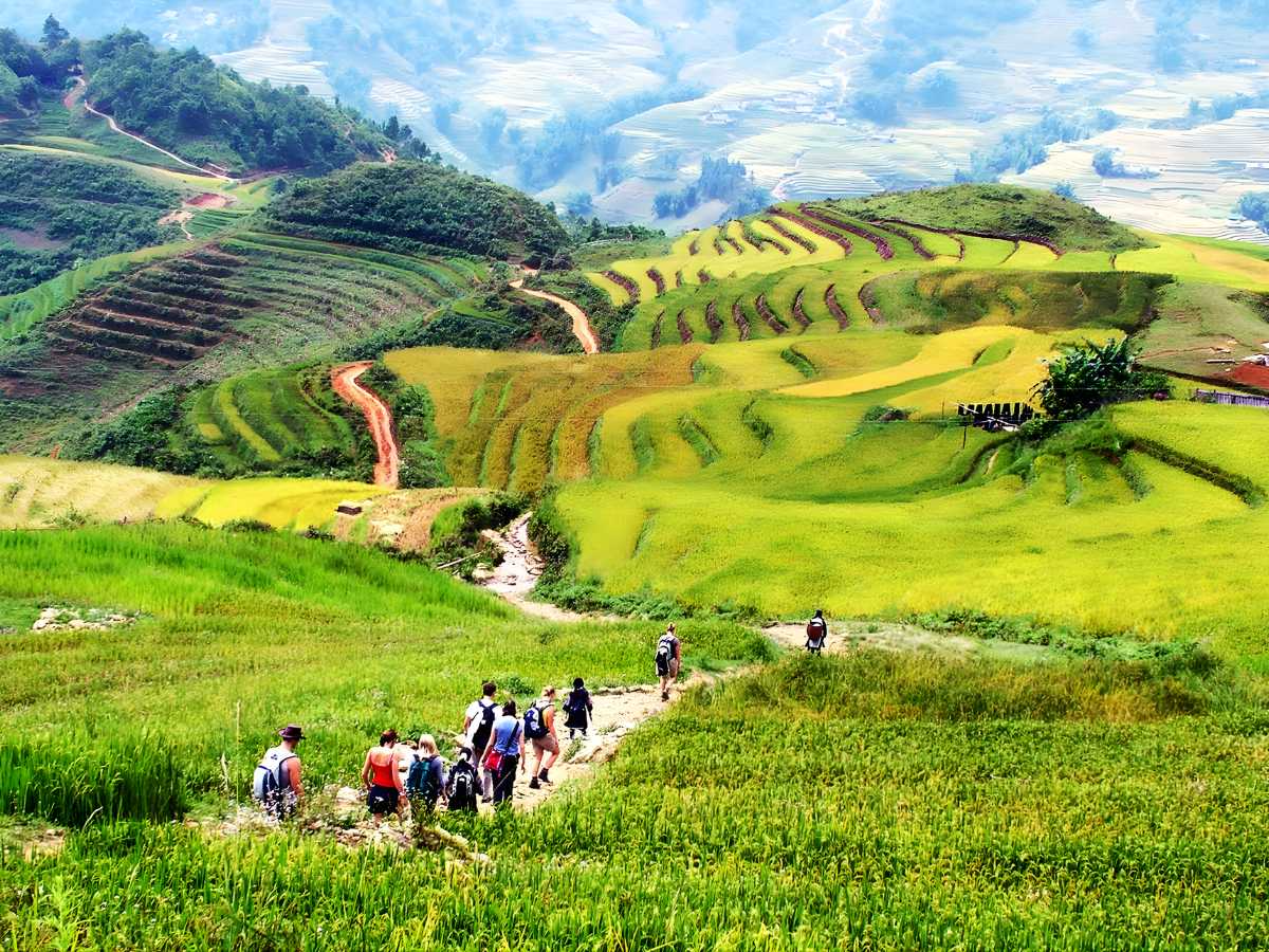 Trải nghiệm chinh phục Fansipan, trekking bản làng và ngắm ruộng bậc thang Sa Pa. (Nguồn sưu tầm)