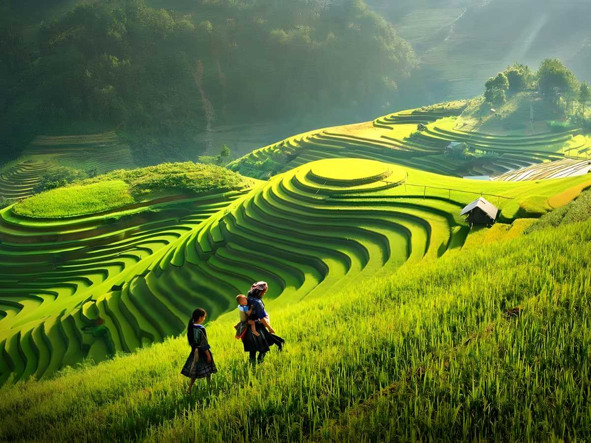 Chi phí di chuyển đến Sa Pa linh hoạt khoảng 500.000 - 1.200.000 VNĐ/người. (Nguồn sưu tầm)