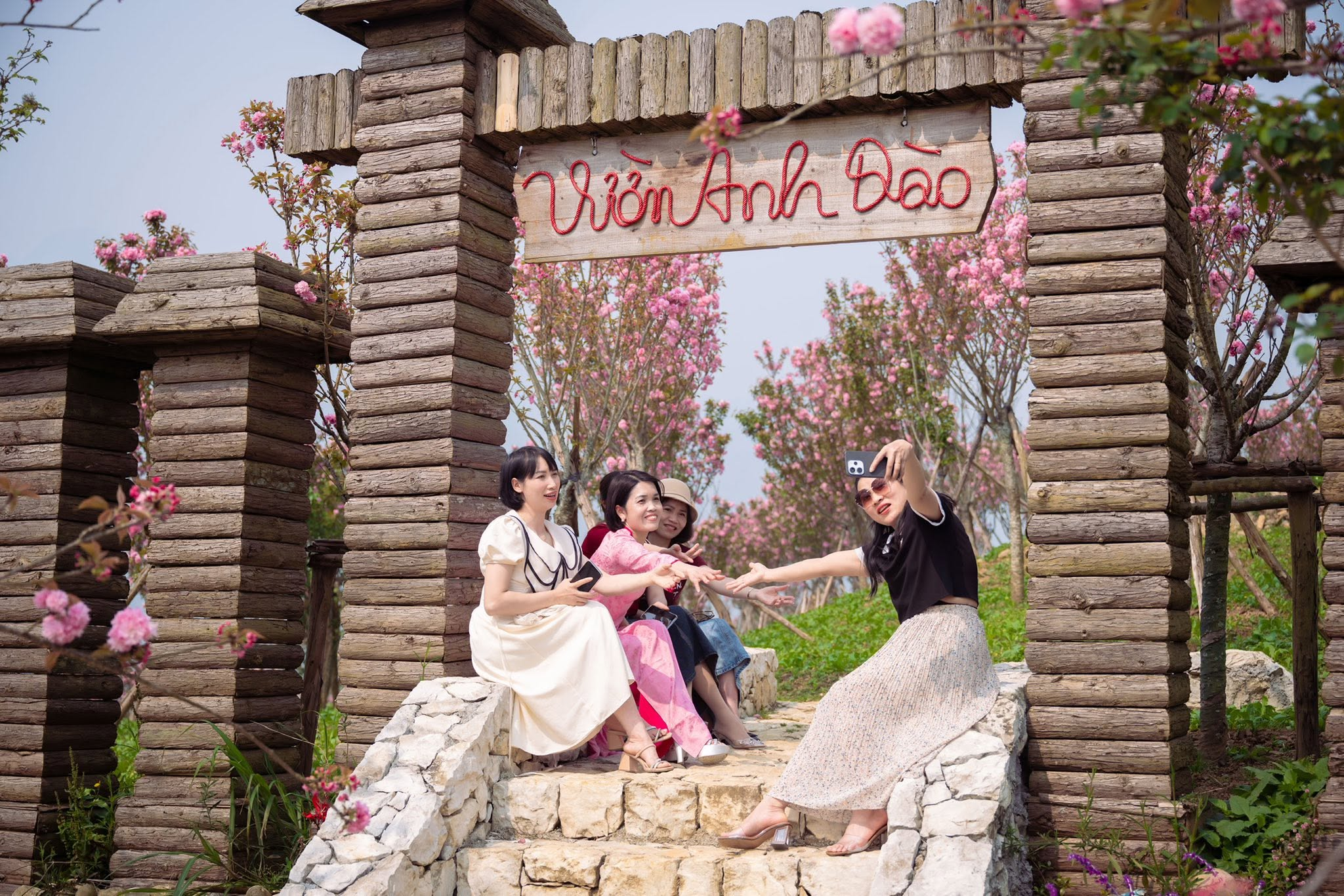 Vườn hoa anh đào khoe sắc hồng thắm vào mùa xuân. (Nguồn: Sưu tầm)