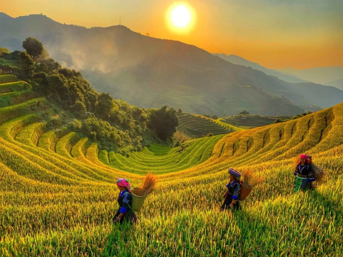 Khoảng cách từ Mù Cang Chải đến Tú Lệ dao động khoảng 45 – 50 km. (Nguồn: Sưu tầm)