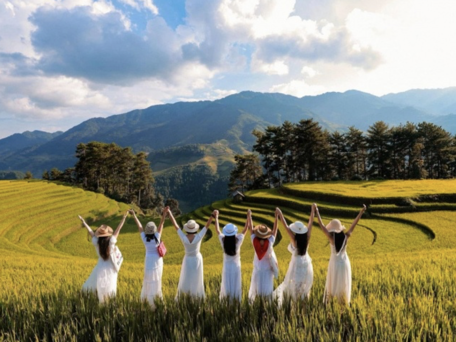 Ánh sáng và sương sớm đã tạo nên vẻ đẹp đặc trưng của bình minh tại đồi Móng Ngựa. (Nguồn: Sưu tầm)