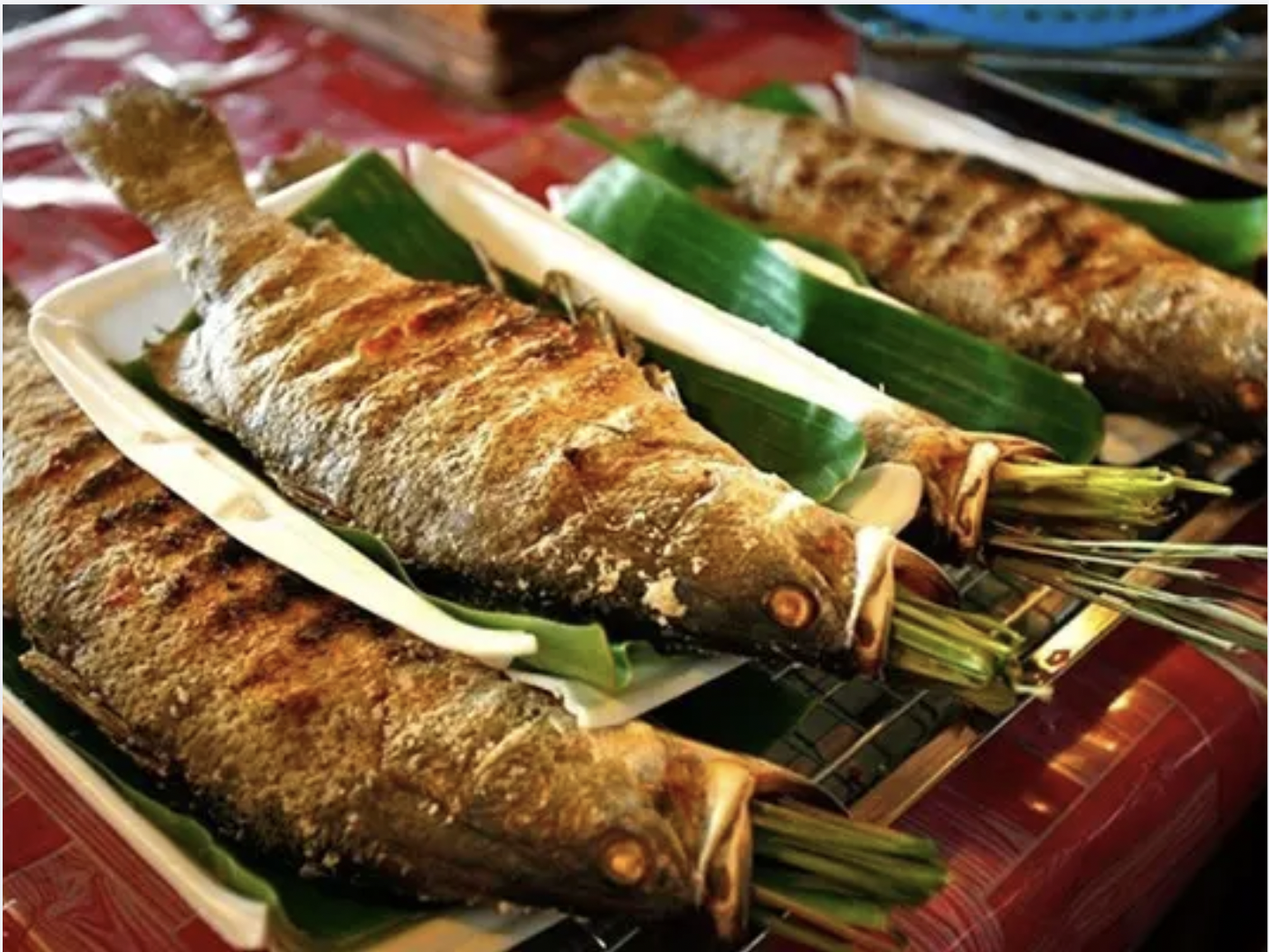 Ẩm thực Mù Cang Chải - Những đặc sản nức tiếng của núi rừng Tây Bắc.(Nguồn: Sưu tầm)