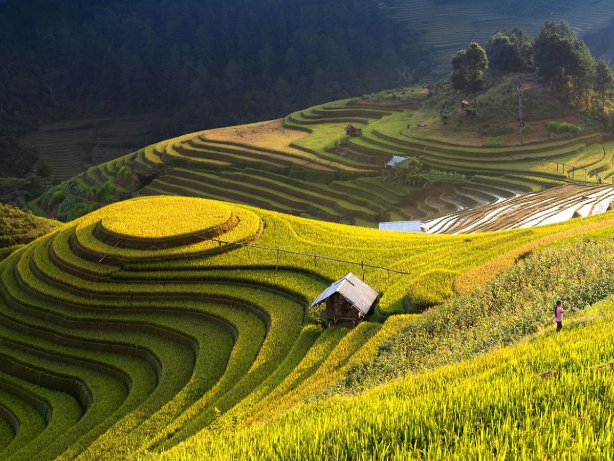 Chọn thời điểm đẹp để du lịch Mù Cang Chải. (Nguồn: Sưu tầm)
