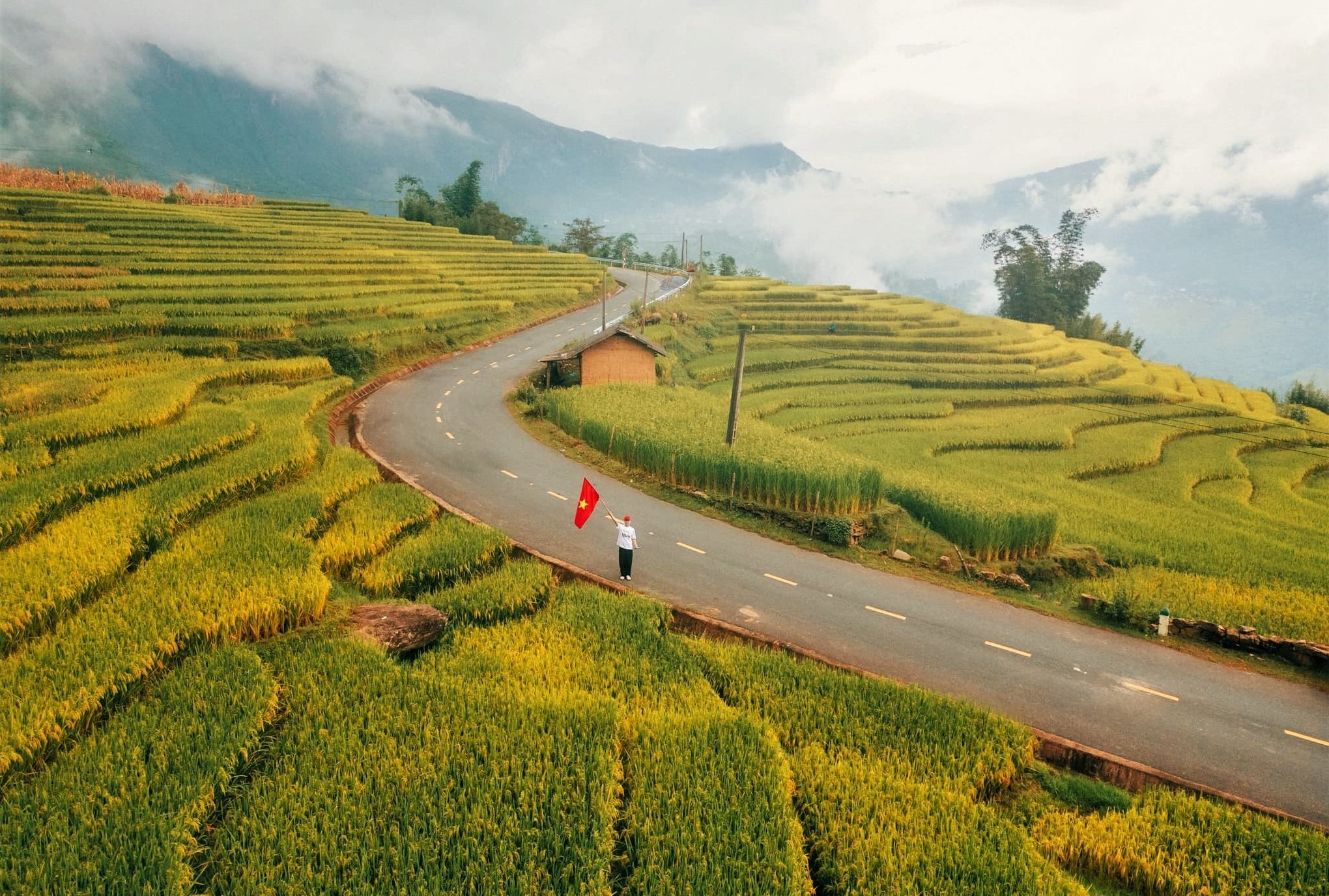 Ruộng bậc thang nhuộm sắc vàng giữa thung lũng Sa Pa vào mùa thu.