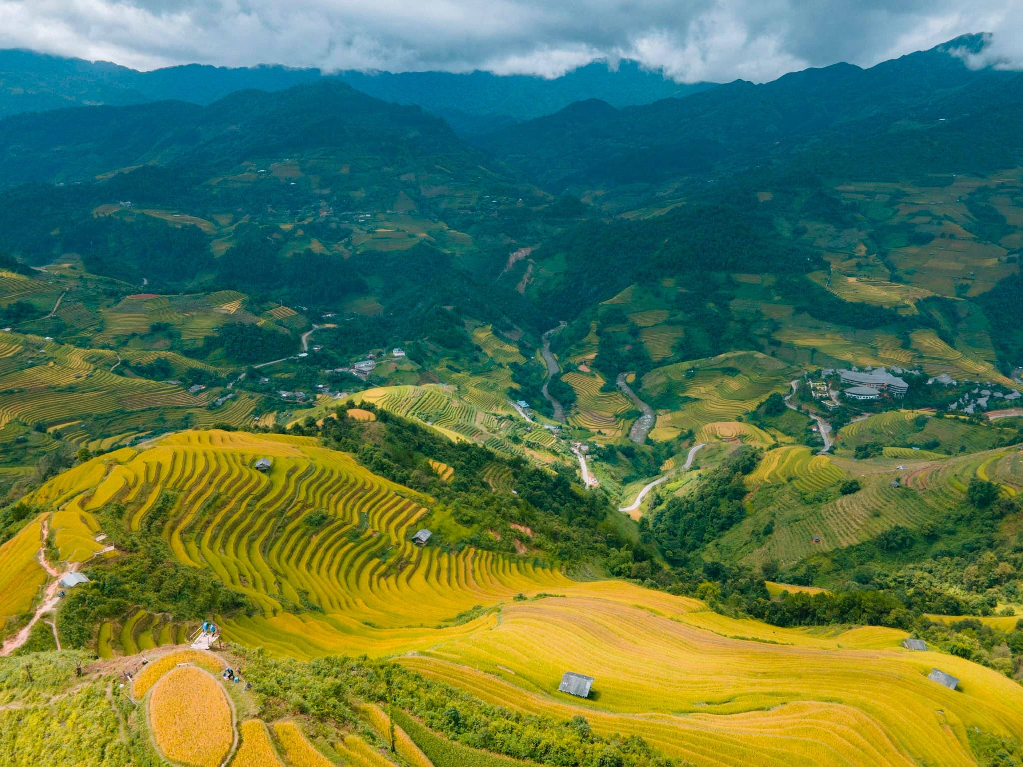 Đồi Mâm Xôi phủ sắc vàng với những vòng ruộng bậc thang nối tiếp trên sườn núi Mù Cang Chải.