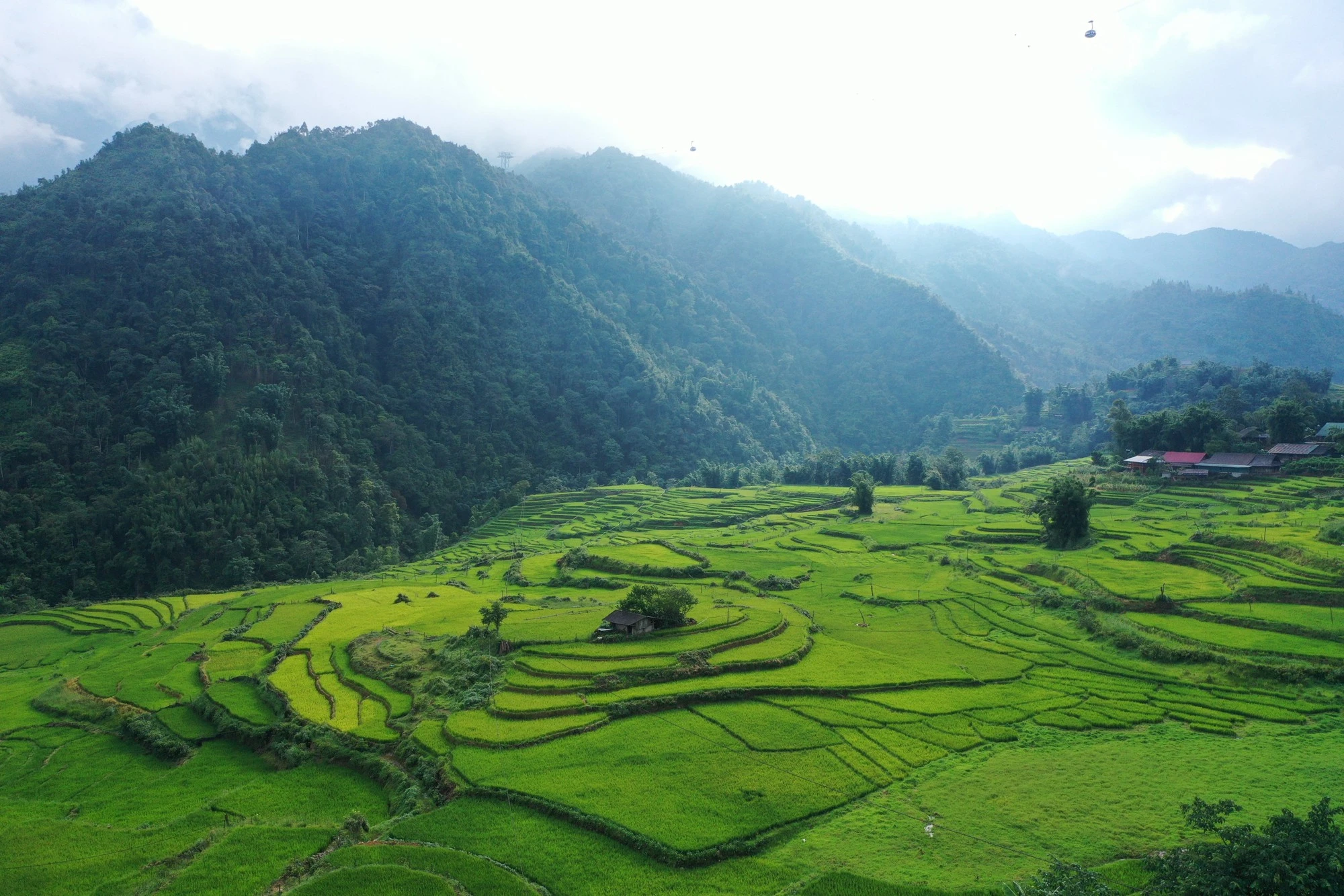 Ruộng bậc thang nối tiếp trên triền núi, mở ra khung cảnh trù phú giữa thung lũng Mường Hoa.