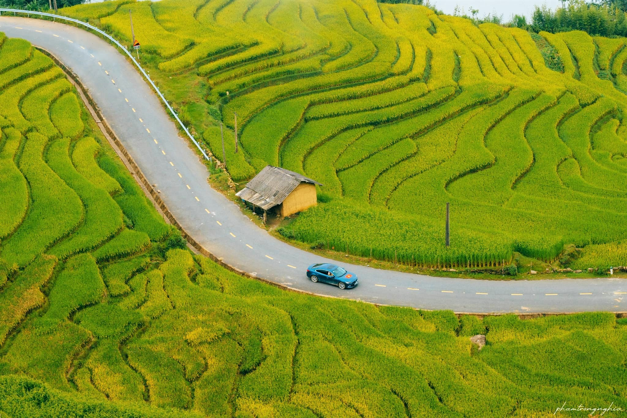 Ruộng bậc thang Sa Pa chuyển vàng dưới nắng thu, nối tiếp nhau theo những sườn núi rộng lớn.