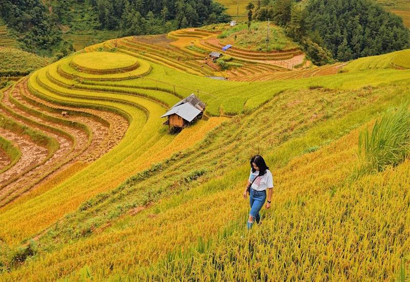 Ruộng bậc thang, biển mây và núi rừng là những bối cảnh giúp lưu giữ rõ nét sắc thu Sa Pa trong từng khung hình.