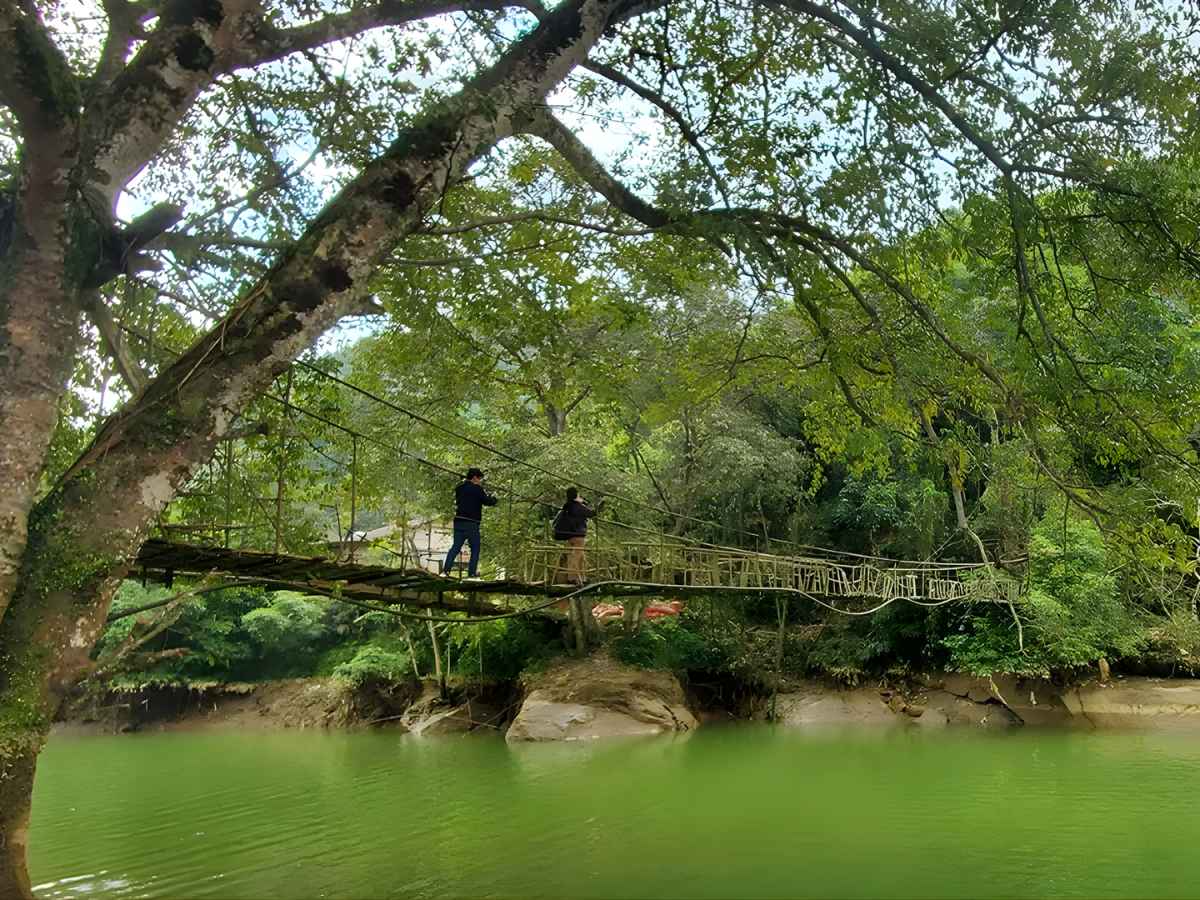 Cầu Mây tọa lạc tại bản Tả Van, cách trung tâm phường Sa Pa, tỉnh Lào Cai khoảng 10 km về phía Đông Nam. (Nguồn sưu tầm)
