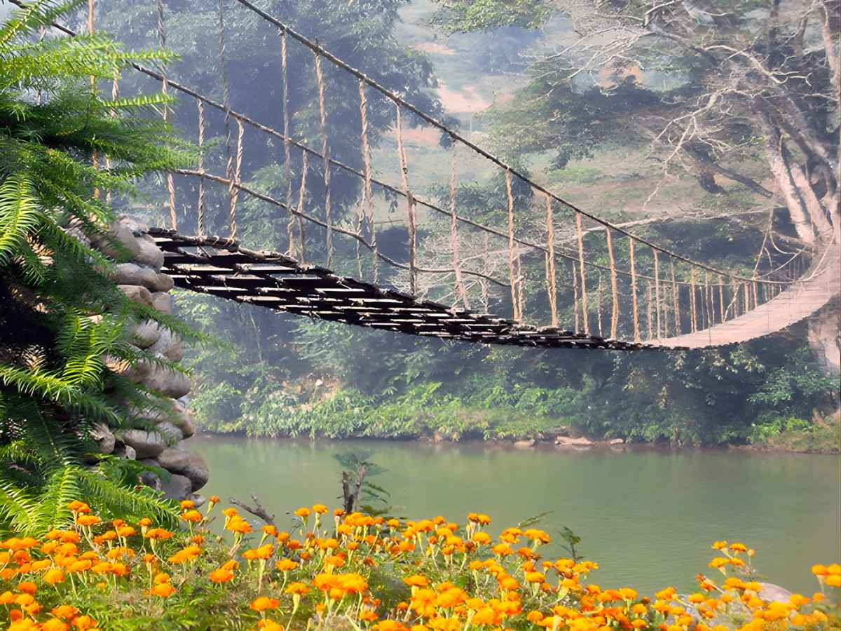Bạn nên đến cầu Mây vào mùa nước đổ (tháng 3 - Tháng 5) hoặc mùa lúa chín (tháng 9 - Tháng 11). (Nguồn sưu tầm)