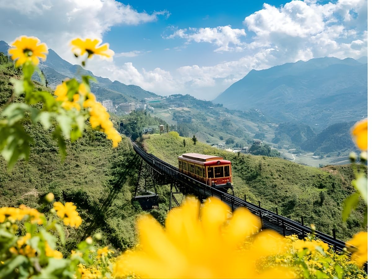 Tuyến tàu leo núi Mường Hoa hoạt động từ 6 giờ sáng đến 18 giờ 30 tối. (Nguồn sưu tầm)