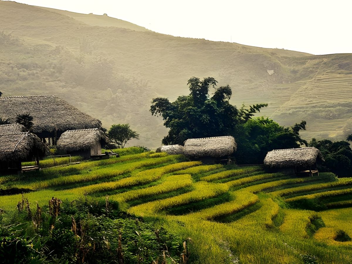 Các homestay tại Bản Hồ thường nằm giữa thung lũng, ruộng bậc thang và rừng cây xanh. (Nguồn sưu tầm)