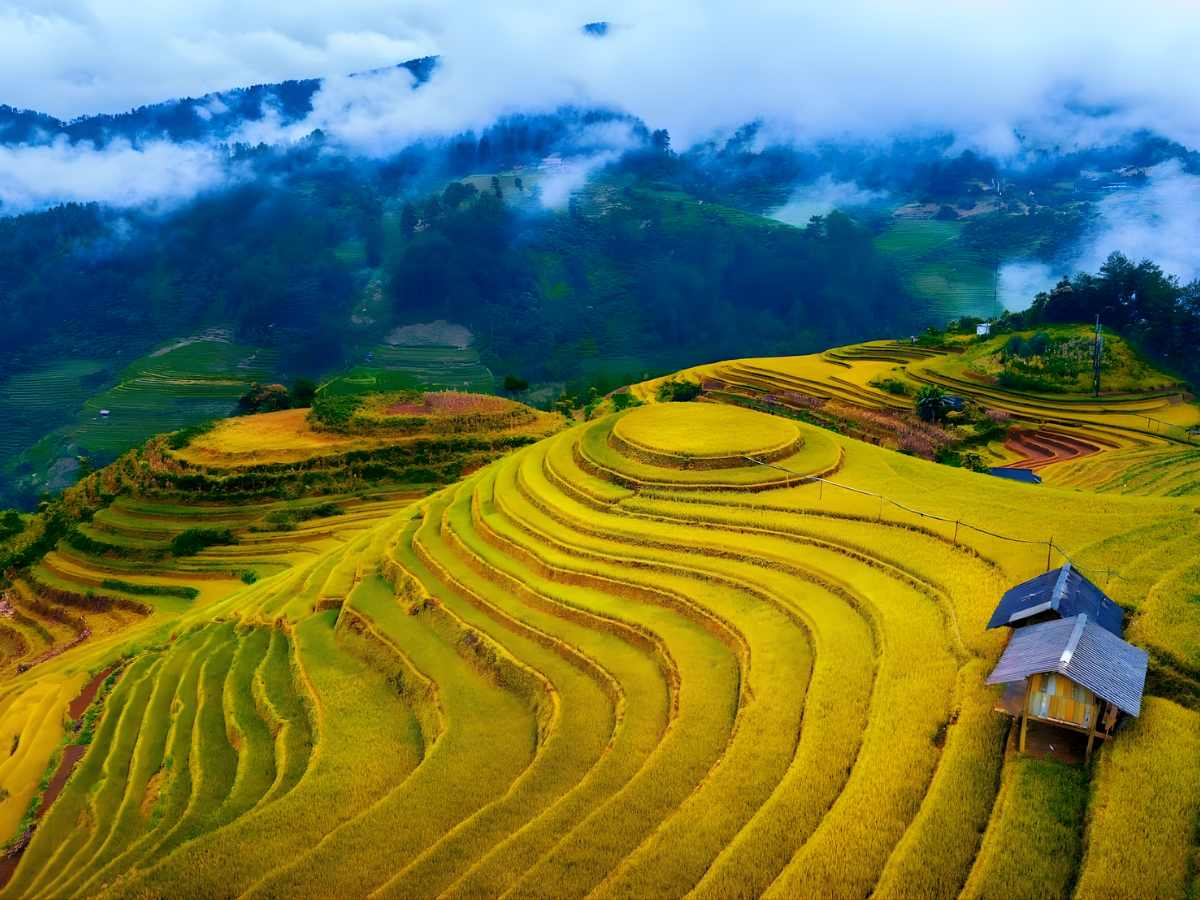 Lựa chọn thời điểm cắm trại vào mùa lúa chín tháng 9 - 11 hoặc mùa xuân tháng 3 - 4 đảm bảo sự an toàn tối đa. (Nguồn sưu tầm)