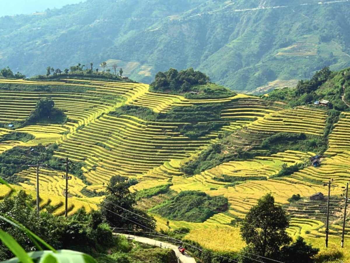 Phong Thổ có địa hình núi cao xen ruộng bậc thang, đặc trưng cảnh quan Tây Bắc. (Nguồn: Sưu tầm).