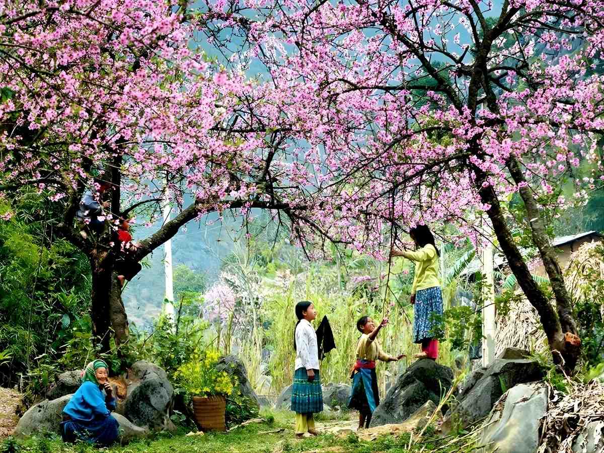 Lựa chọn thời gian thích hợp để có chuyến trải nghiệm trọn vẹn nhất. (Nguồn: Sưu tầm)