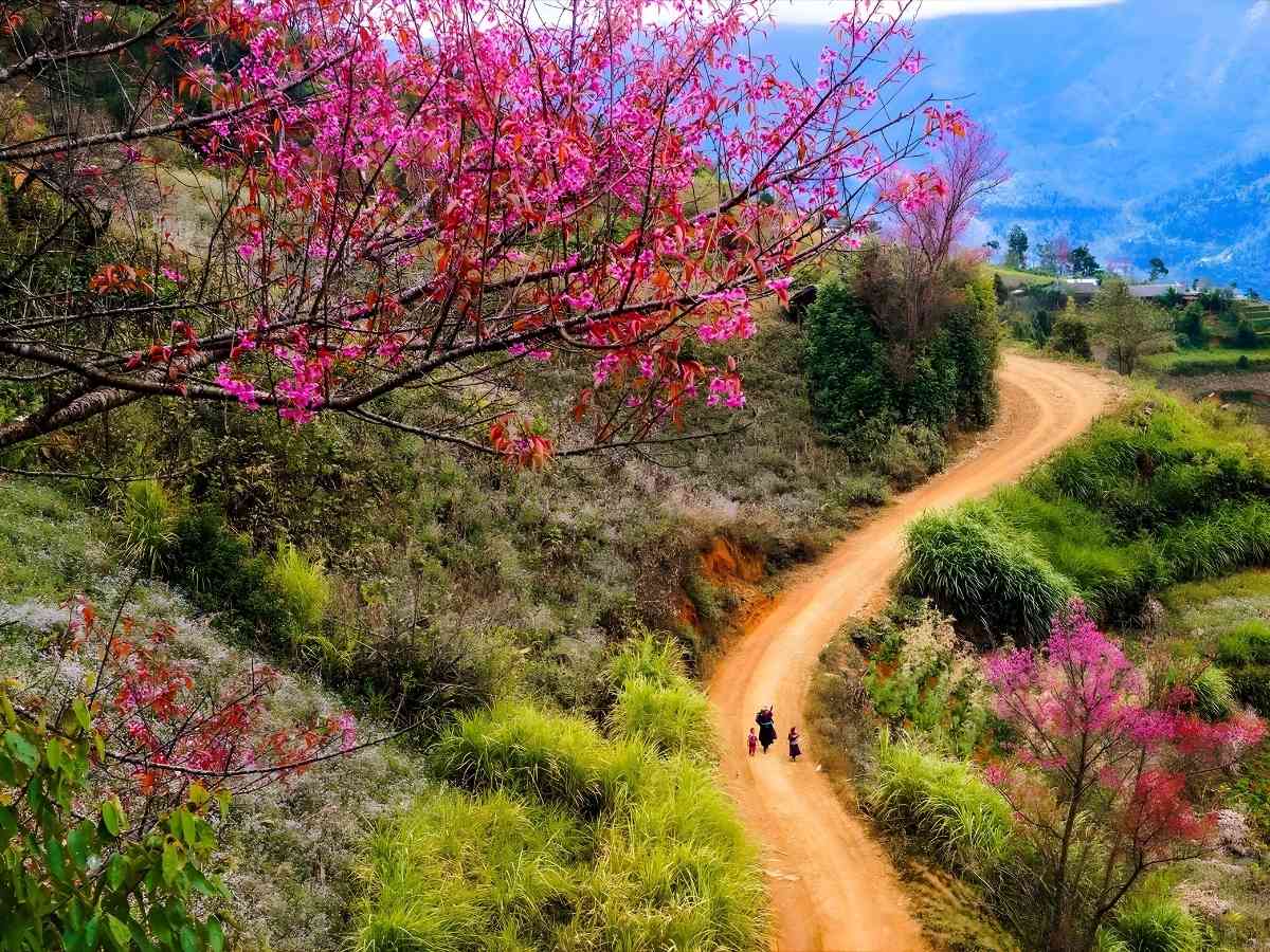 Du khách sẽ được chứng kiến sự thay đổi rõ nét trong từng chặng di chuyển. (Nguồn: Sưu tầm)