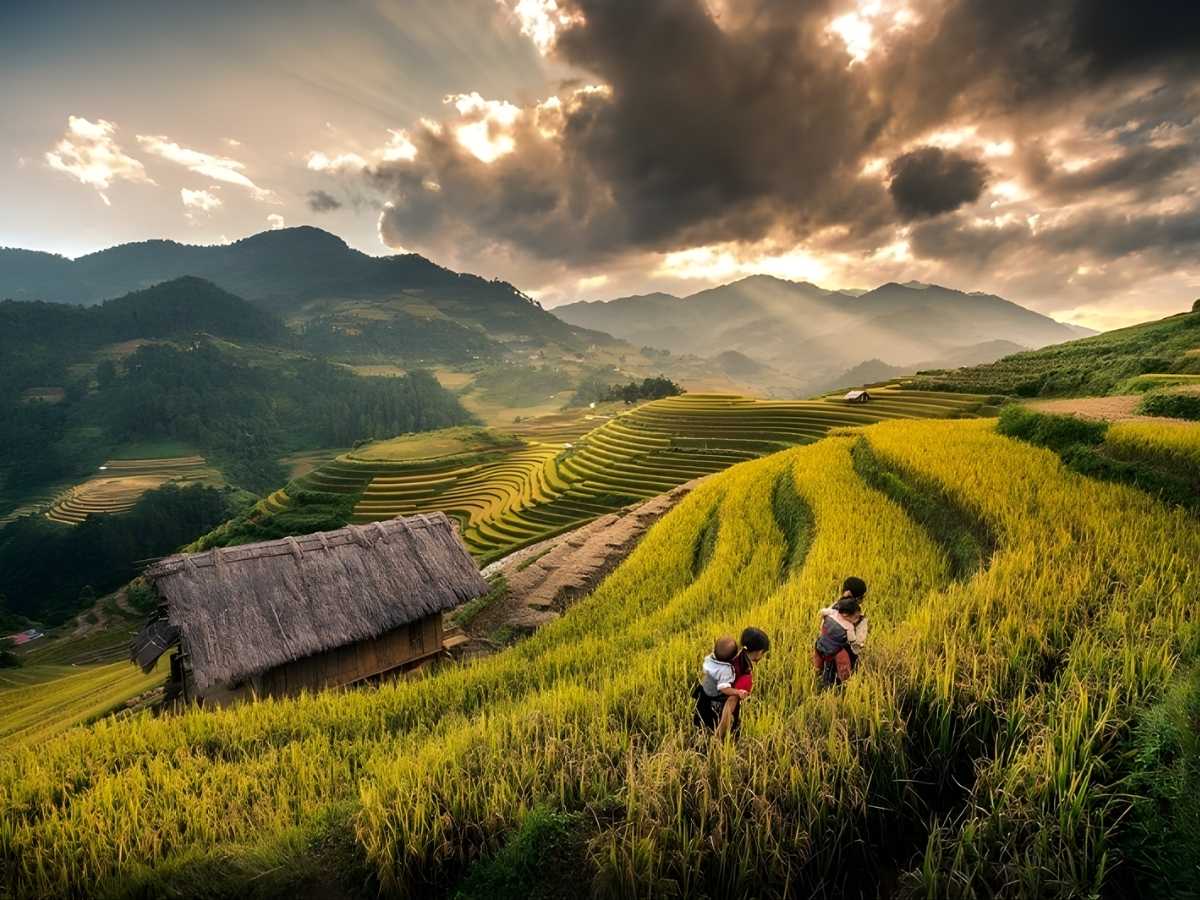 Ruộng bậc thang tại Sa Pa tương tự Mù Cang Chải là điểm tham quan được nhiều du khách lựa chọn. (Nguồn: Sưu tầm)
