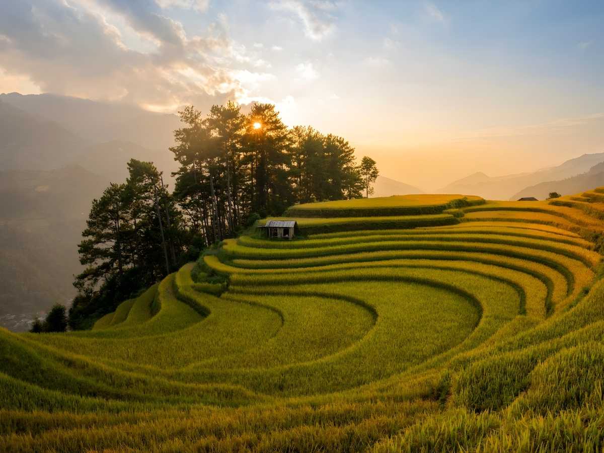 Hành trình Tây Bắc kết hợp Mù Cang Chải và Sa Pa mang đến trải nghiệm khó quên cho du khách. (Nguồn: Sưu tầm)