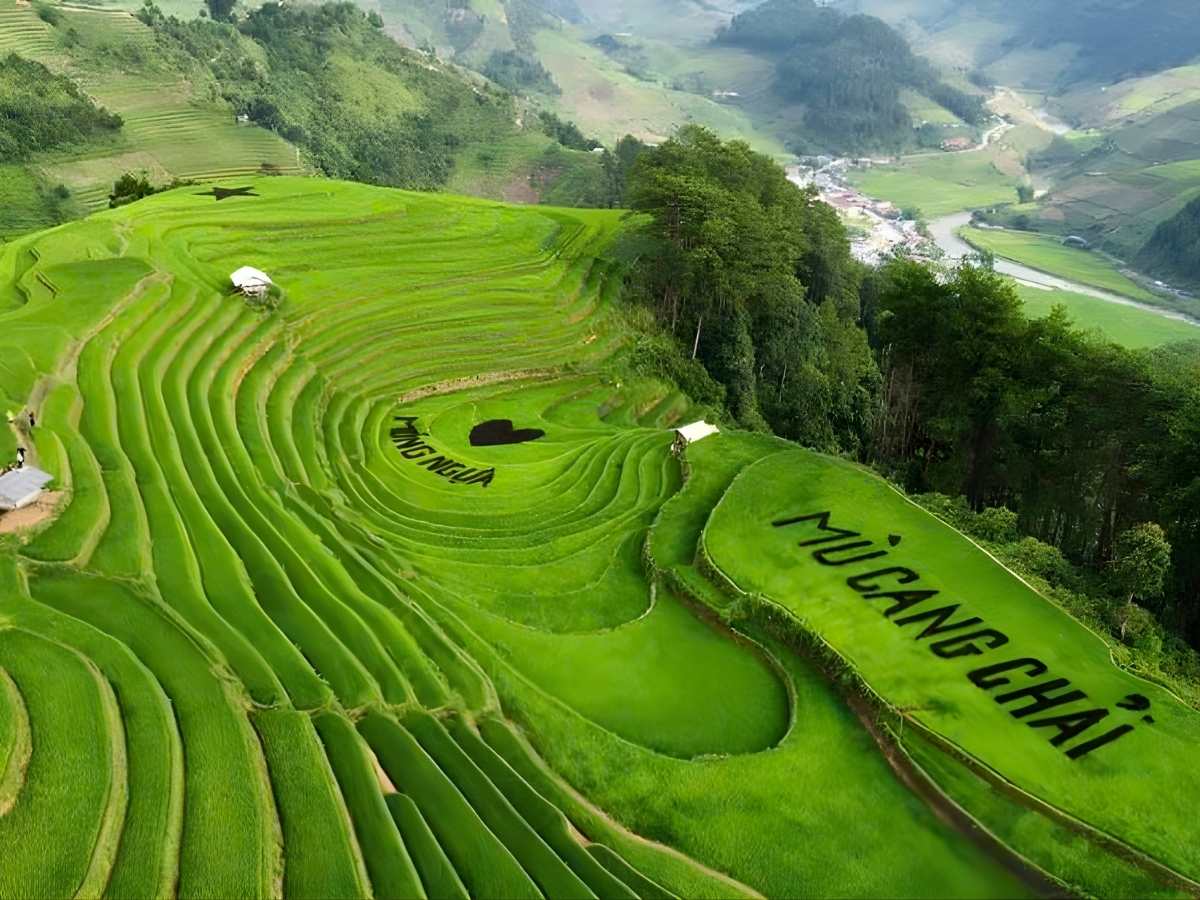 Ruộng bậc thang Mù Cang Chải trải dài trên sườn núi cao mang đến không gian check in độc đáo. (Nguồn: Sưu tầm)