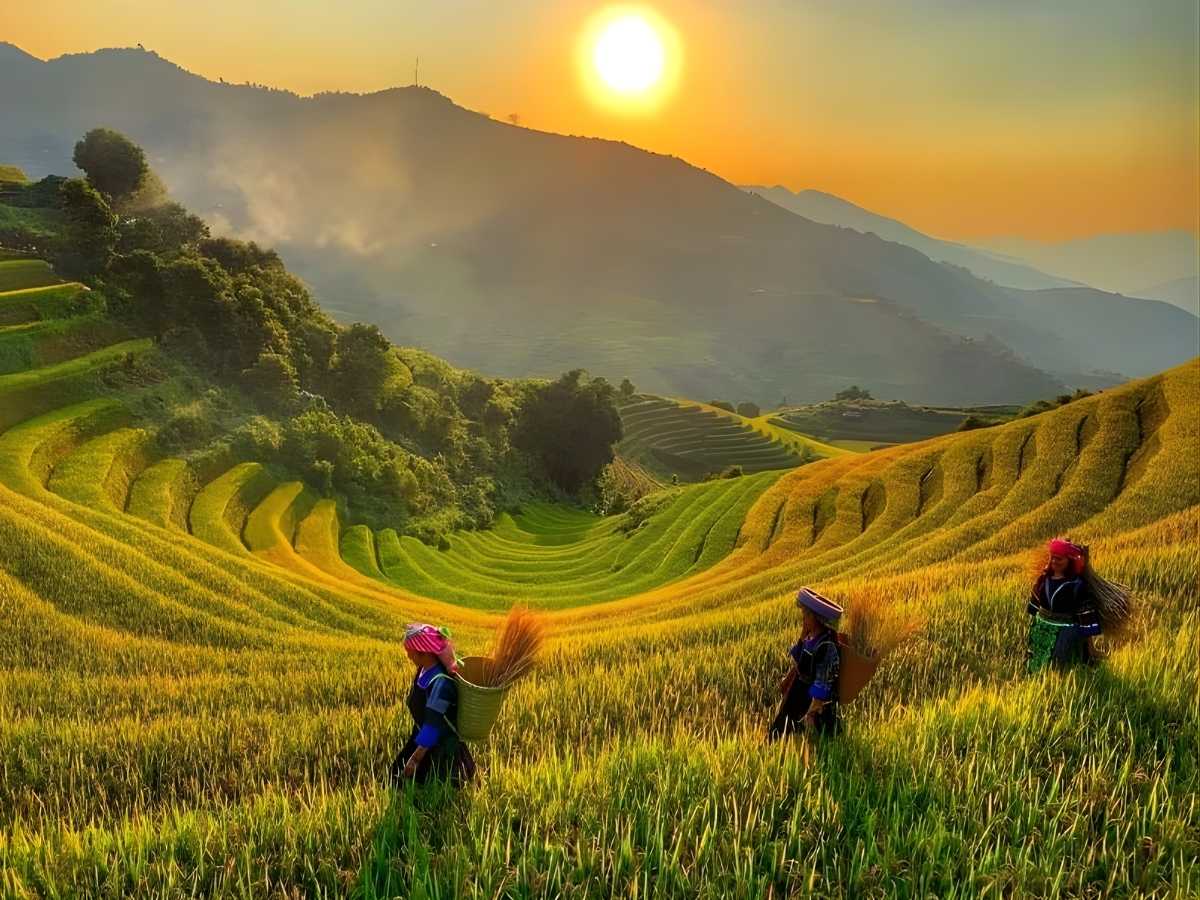 Nhiếp ảnh gia chọn thời điểm sáng sớm, chiều muộn để chụp ruộng bậc thang Mù Cang Chải rõ nét. (Nguồn: Sưu tầm)