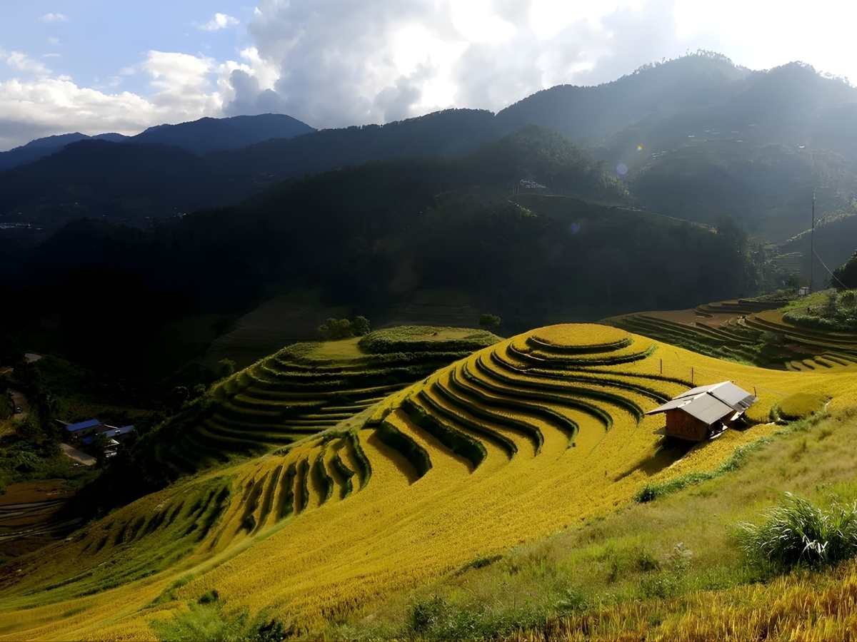 Du khách dừng chân trên đèo Khau Phạ ngắm toàn cảnh thung lũng và ruộng bậc thang uốn lượn. (Nguồn: Sưu tầm)