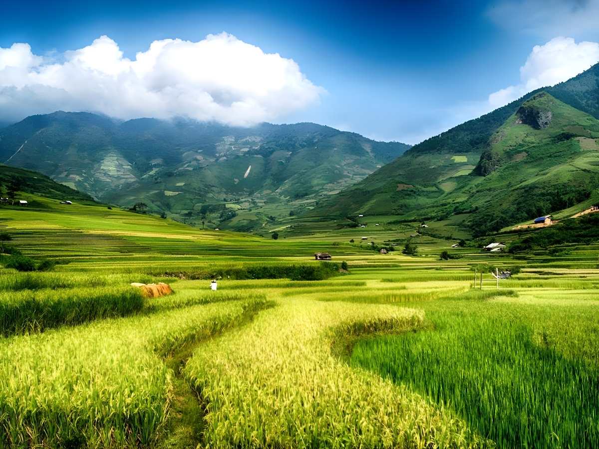 Du khách khám phá Mù Cang Chải mùa lúa chín với thời tiết ổn định thuận lợi cho tham quan. (Nguồn: Sưu tầm)