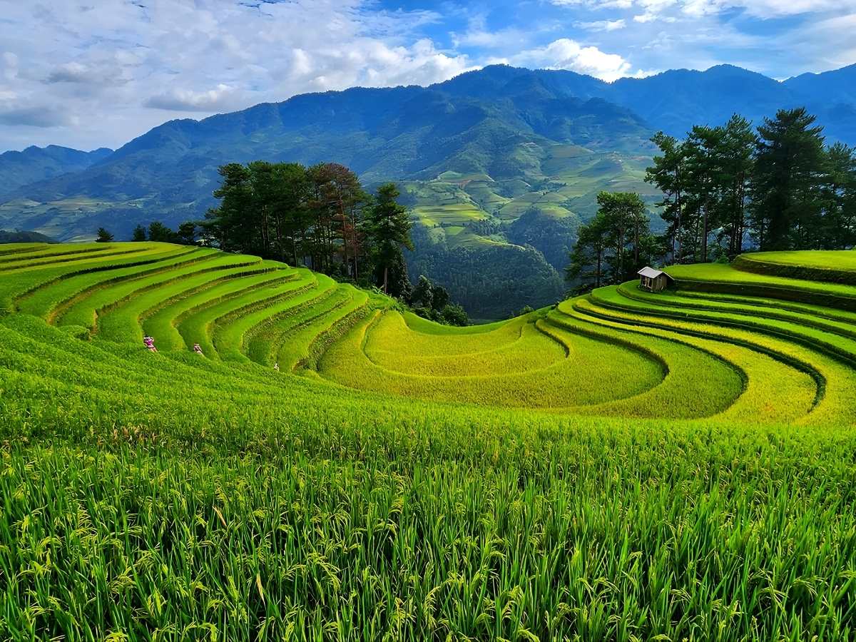 Du khách di chuyển qua Nghĩa Lộ trên quốc lộ 32 bắt đầu hành trình khám phá Mù Cang Chải. (Nguồn: Sưu tầm)