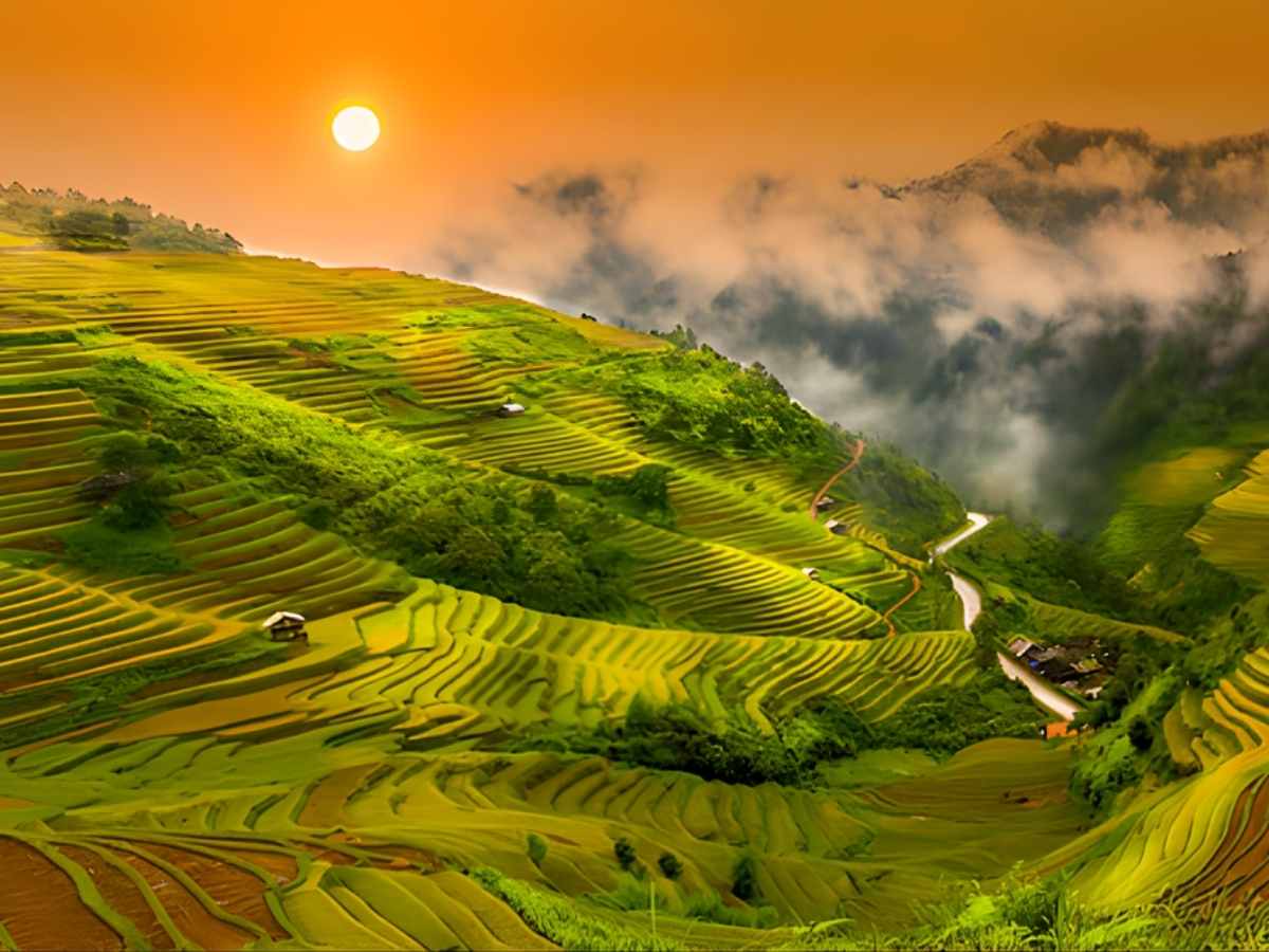Ánh sáng mềm buổi sáng sớm giúp du khách chụp ruộng bậc thang rõ nét và nổi bật đường cong tự nhiên. (Nguồn: Sưu tầm)