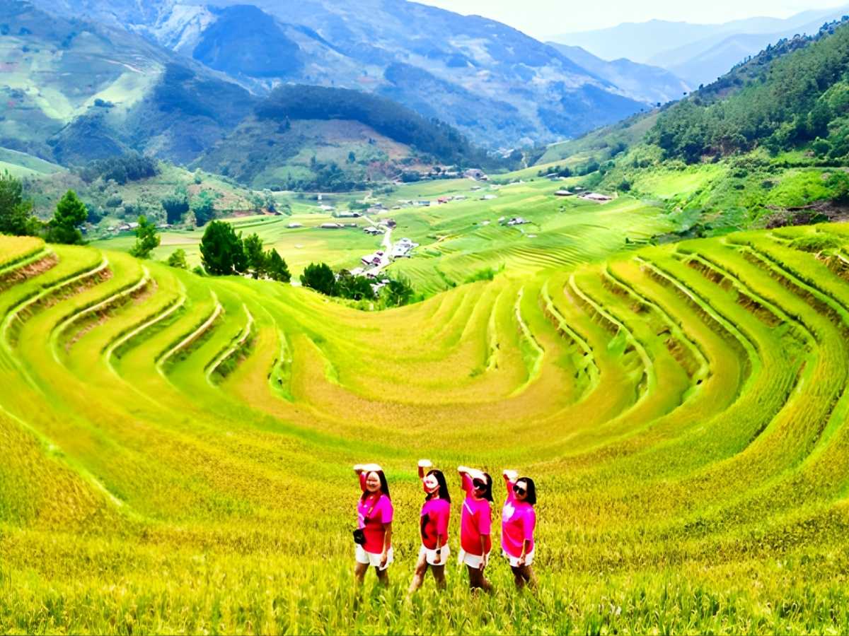Du khách chiêm ngưỡng ruộng bậc thang xanh vàng tại Trạm Tấu vào mùa đẹp nhất trong năm. (Nguồn: Sưu tầm)