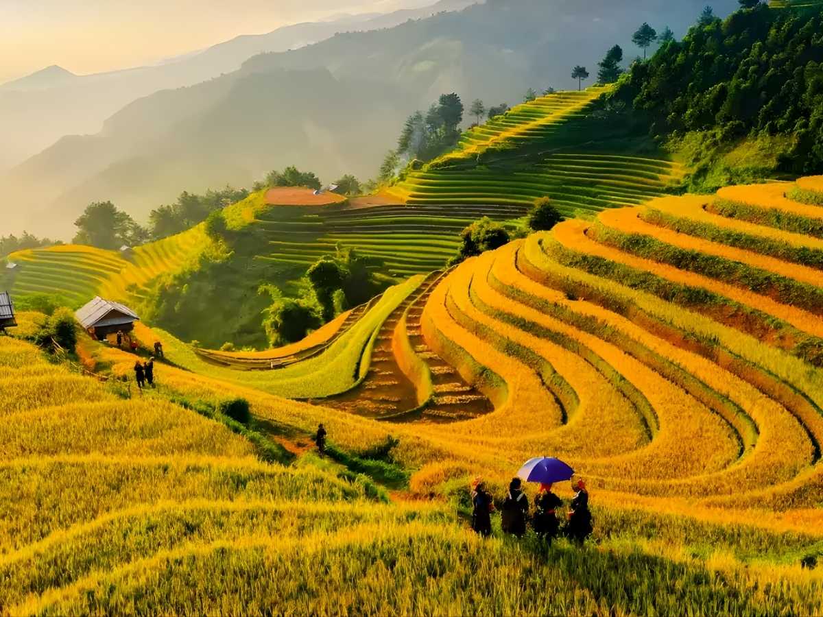 Du khách kết hợp hành trình dài ngày ghé Sa Pa để khám phá ruộng bậc thang và cảnh quan núi rừng đặc trưng. (Nguồn: Sưu tầm)
