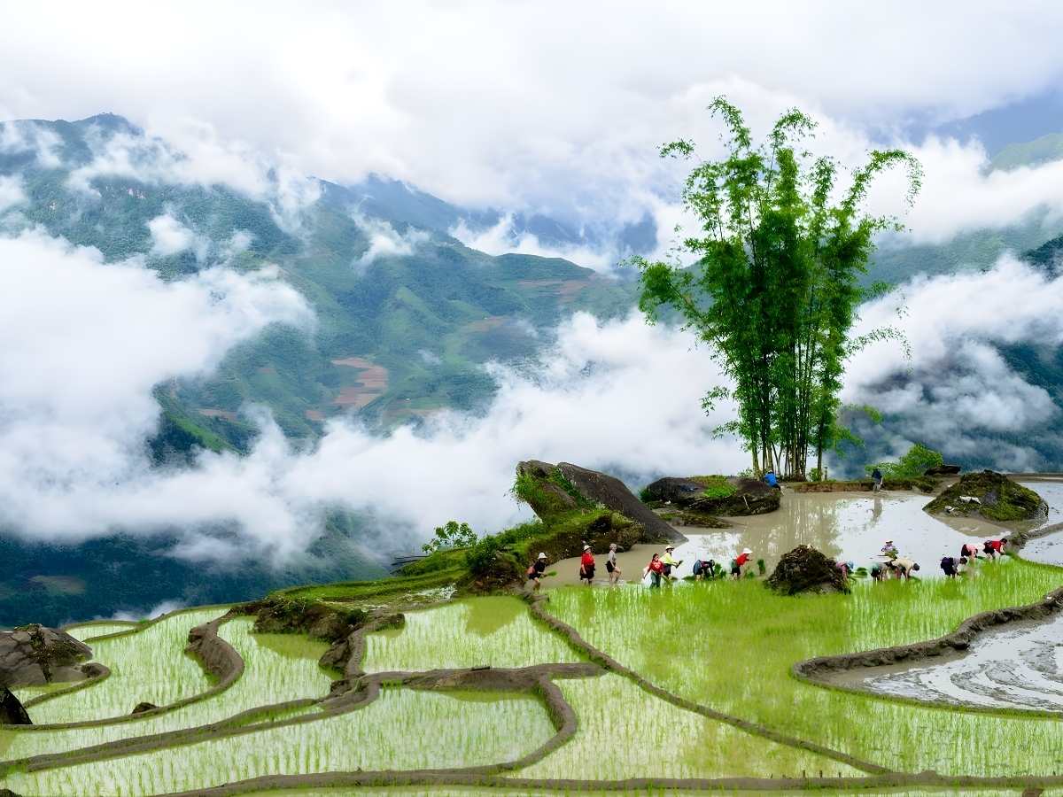 Du khách trải nghiệm biển mây Y Tý vào sáng sớm khi thời tiết lạnh và mây phủ dày đặc khắp núi. (Nguồn: Sưu tầm)