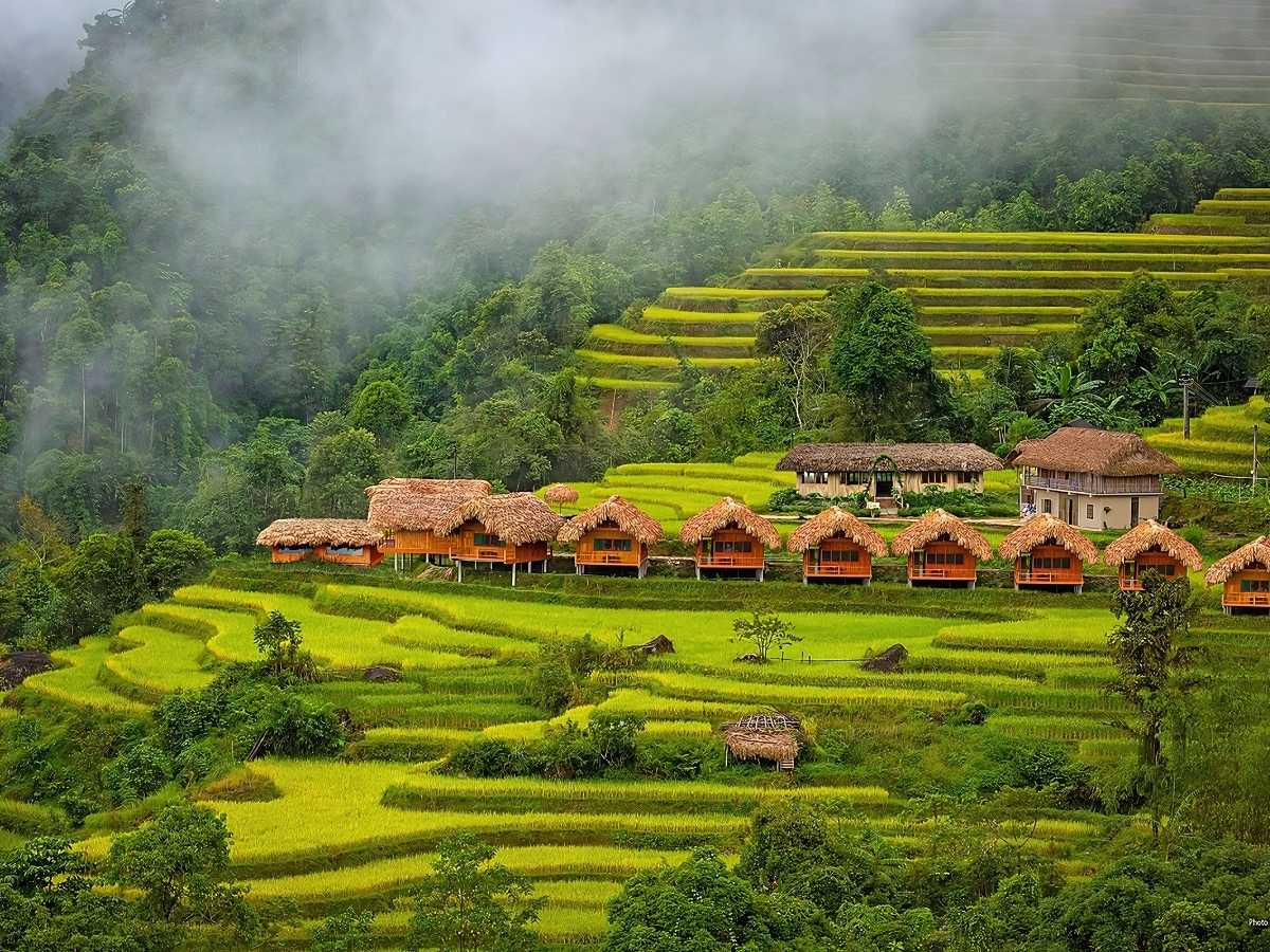 Du khách kết hợp hành trình Y Tý với Sa Pa để khám phá ruộng bậc thang và cảnh quan núi rừng đặc trưng. (Nguồn: Sưu tầm)