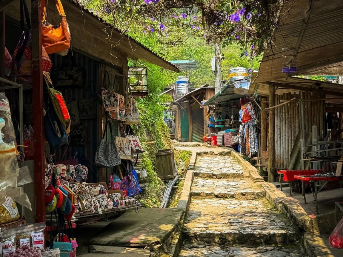 Bản Cát Cát nằm giữa thung lũng dưới dãy Hoàng Liên Sơn, mang đến không gian khám phá cảnh quan và văn hóa vùng cao
