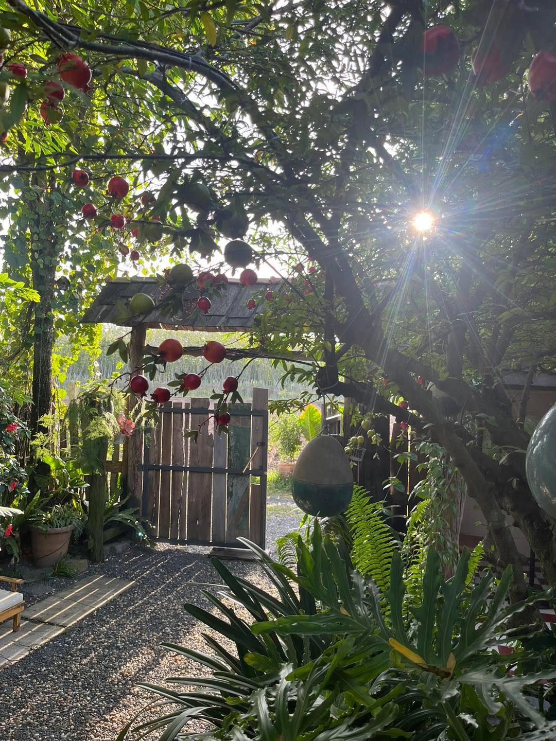 Homestay Nhà của Mây