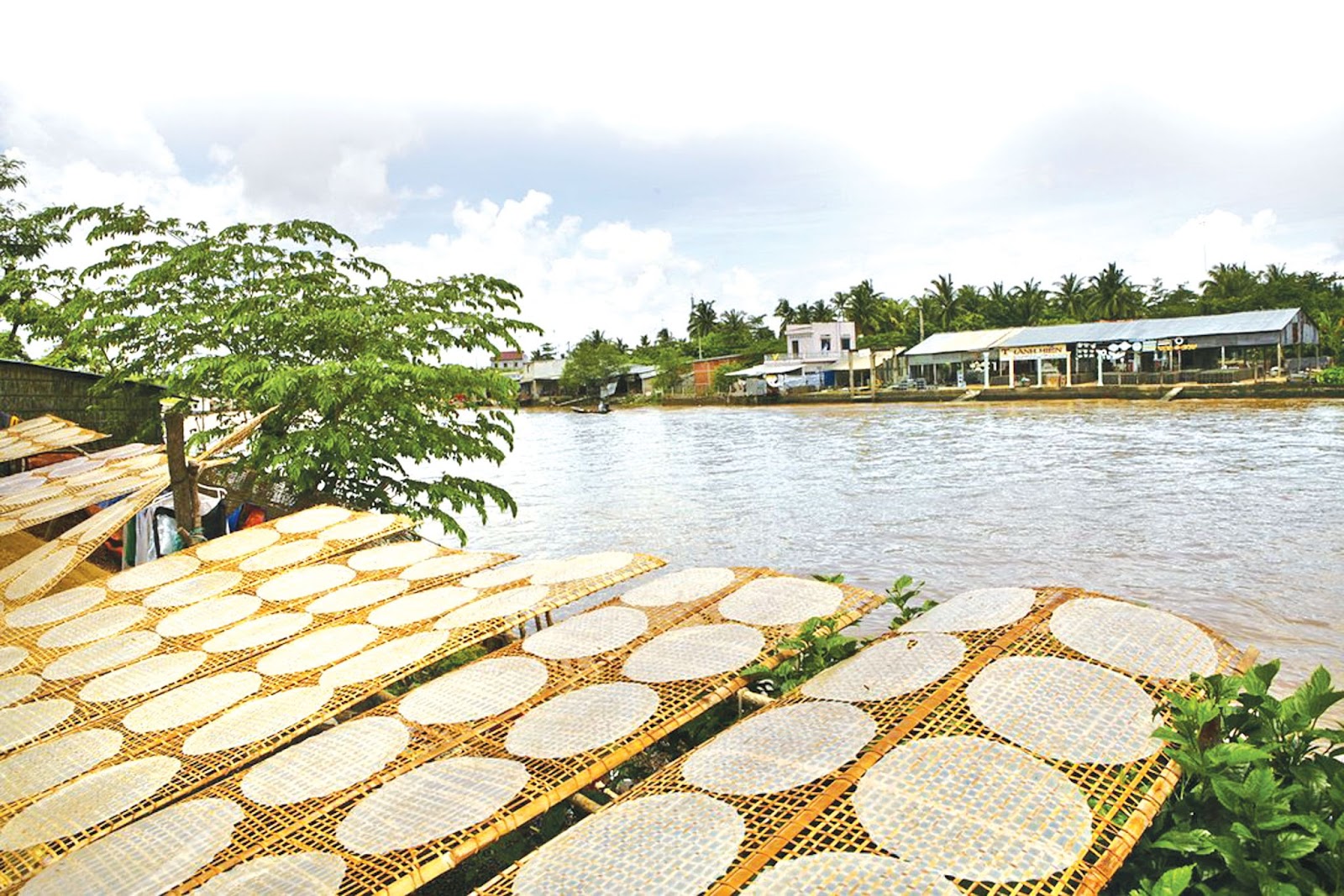 Bánh tráng phơi sương được sản xuất kỳ công.