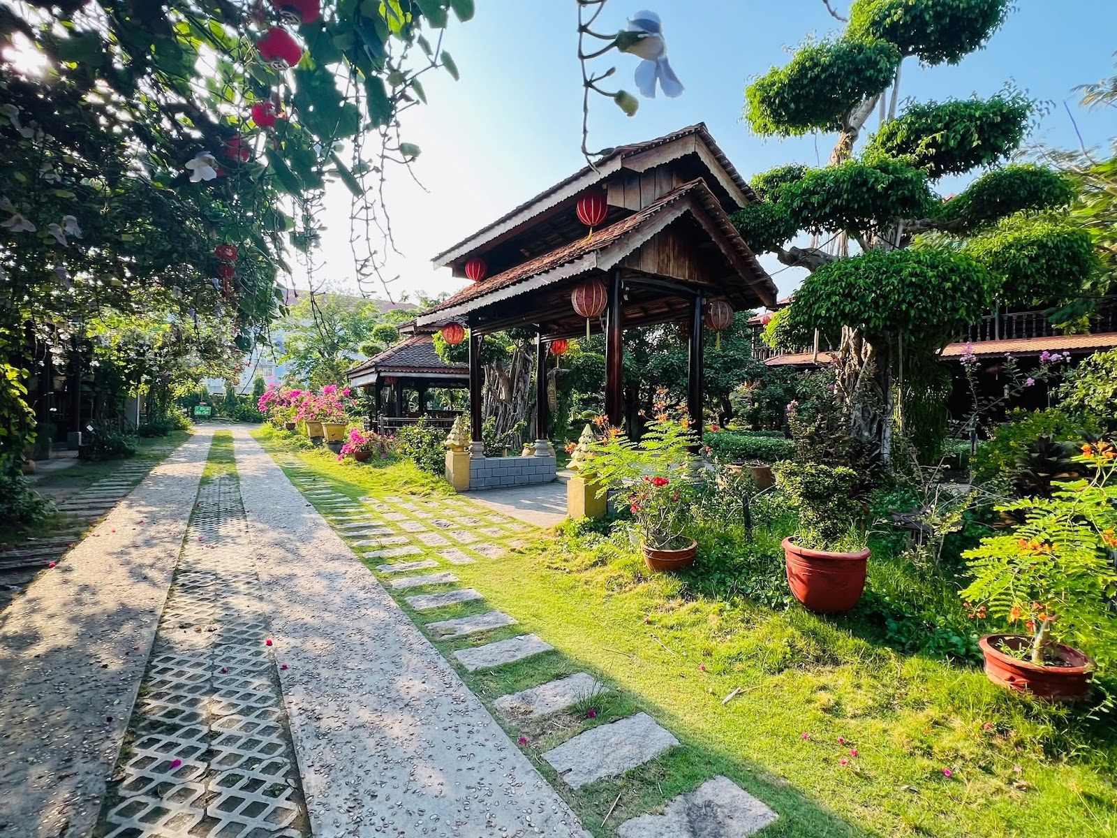 Homestay sở hữu không gian thư giãn và tràn ngập cây xanh.